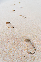 Footprint in the Sand