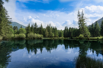 Fototapeta premium Beautiful panoramic landscape with vibrant, green forest reflecting in the cold, crystal clear waters of an alpine lake on a sunny summer day