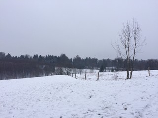 Naturlandschaft mit Schnee