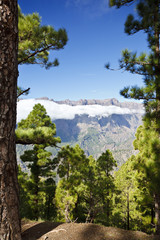 Cumbrecita, La Palma