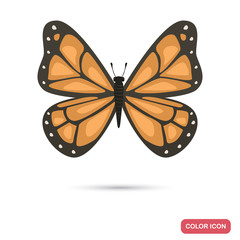 Beautiful butterfly color flat icon