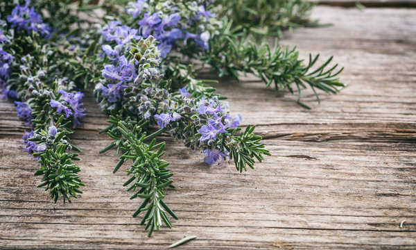 Fresh blooming rosemary on a wooden table, copy space