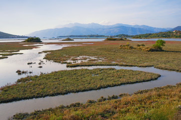 Fototapeta na wymiar Wetland landscape, salt marsh . View of special nature reserve Solila , Tivat, Montenegro, autumn