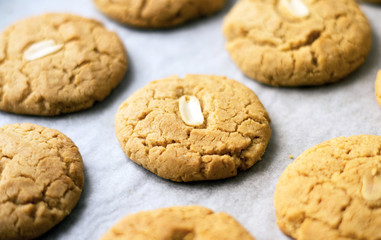 Freshly baked homemade peanut butter cookies  on the white parchment paper