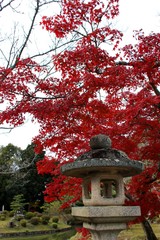 根来寺の紅葉