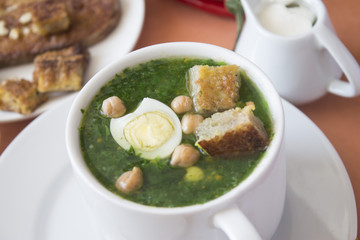delicious appetizing healthy dietary vegetarian spinach soup