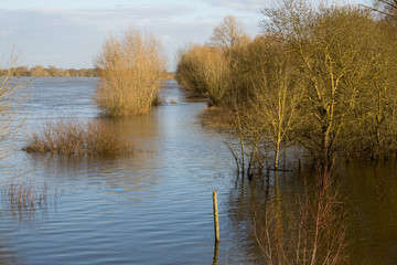 Fototapeta premium The banks of the Loire in flood in winter.