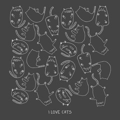 cats © ZYTA.eM