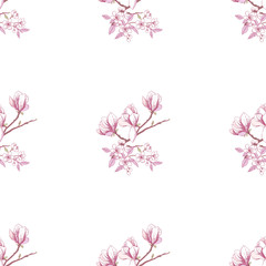 Seamless pattern with magnolia 