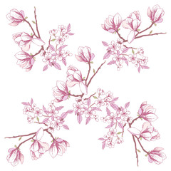 Fototapeta na wymiar Seamless pattern with magnolia 