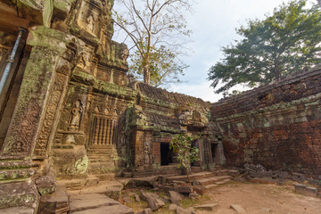 Trees growing on Temple Ta Phrom at Angkor Wat, Cambodia