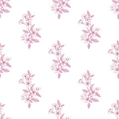 Seamless Pattern with Sakura