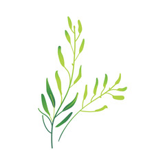 Vector cartoon abstract green plant icon. Wild meadow field grass garden spring easter, women day romantic holiday, wedding invitation card decoration summer floral Illustration white background