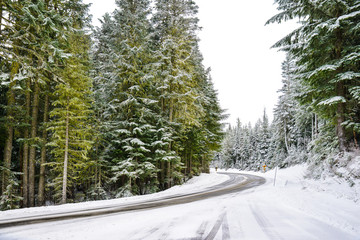 Winter and Snow Scenery at Mount Rainier National Park, Paradise, Ashford, Washington, United States.