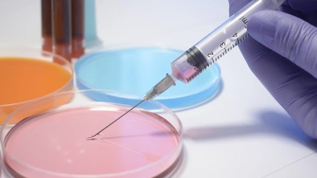 stem cell immunotherapy research DNA gene therapy CRISPR laboratory researcher technician with vials petri dish and test tubes, stem cells concepts