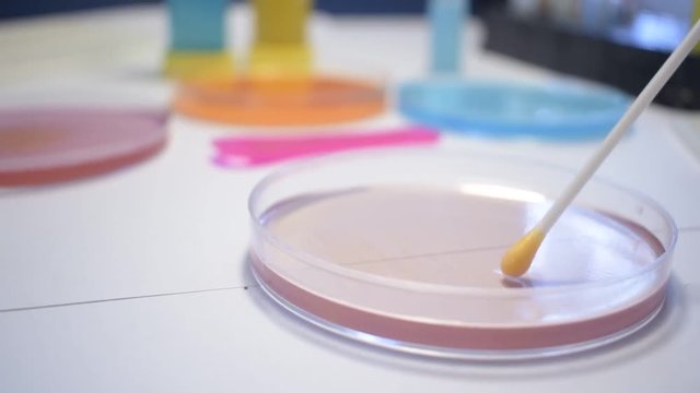 stem cell immunotherapy research DNA gene therapy CRISPR laboratory researcher technician with vials petri dish and test tubes, stem cells concepts
