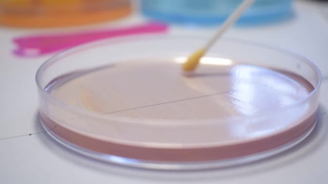 stem cell immunotherapy research DNA gene therapy CRISPR laboratory researcher technician with vials petri dish and test tubes, stem cells concepts