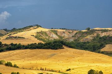 Fototapeta premium Tuscany: the road to Torre a Castello