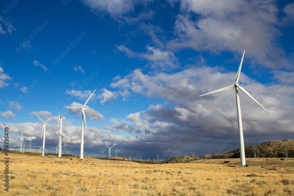 Wall mural windmills