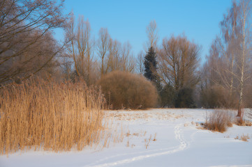 The Beauty of Winter