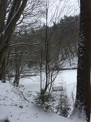Naturlandschaft am Waldsee mit Schnee