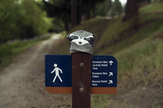 Poste con señal de dirección en el camino de un bosque. El poste tiene un gorro con el dibujo de un mapache.