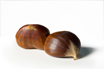Still life of some chestnuts on a white background.
