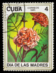 Old postage stamp printed in Cuba in 1985 with a bouquet of dianthus flowers, mother's day series.