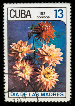 Old postage stamp printed in Cuba in 1987 with a bouquet of dahlia flowers, mother's day series