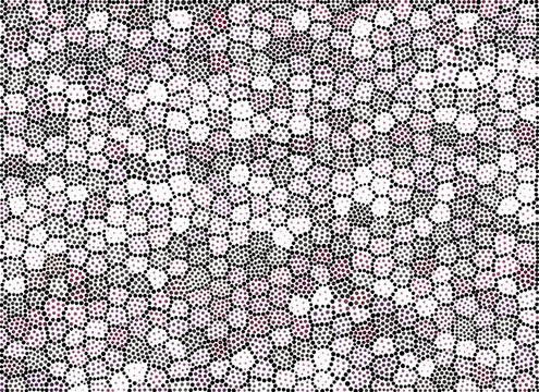 Mosa&iuml;que et pointill&eacute; .