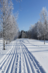 Ski tracks on a sunny day in Finland.