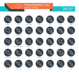 Set Vector Line Icons of Freshwater Fish.
