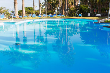 pool with reflections of palm trees
