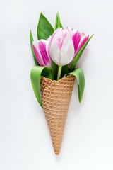 Ice cream cone with tulip flowers on white background. Minimal spring concept. Flat lay.