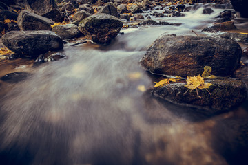 long exposure water stream through the rocks in autumn
