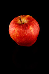 Apple in black background