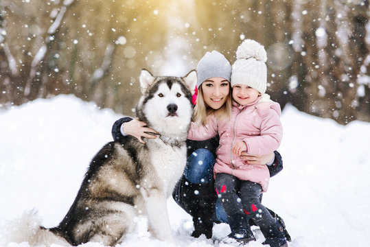 Family portrait of a mother with her daughter hugging with their Alaskan malamute dog on a trail in the winter forest. Lovers of pets and the concept of freedom of life.