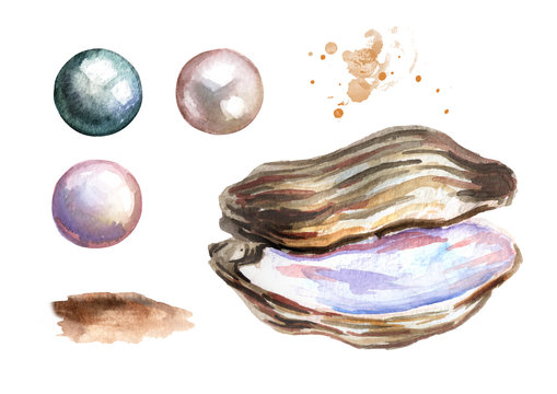 Pearls and shell set