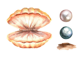 Pearls and shell set. Hand drawn watercolor illustration, isolated on white background
