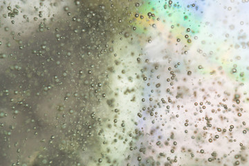 multi-colored bubbles texture