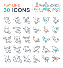Set Vector Line Icons of Meat and Poultry.