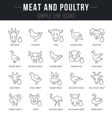 Set Vector Line Icons of Meat and Poultry.