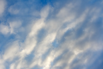 Fototapeta premium The sky is covered with snow-white fluffy clouds as a background
