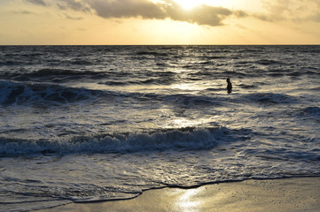 Beach scene with man swimming in the ocean at sunrise
