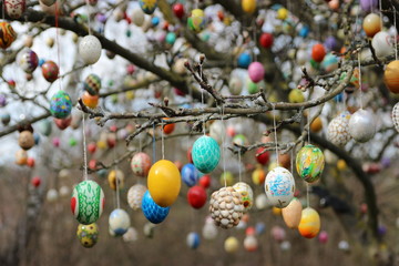 Easter eggs on the tree  - 194748613