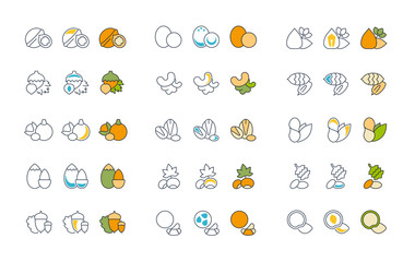 Set Vector Flat Line Icons of Nuts