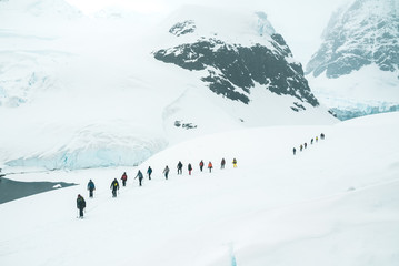 Mountaineers exploring the Glaciers - Antarctica