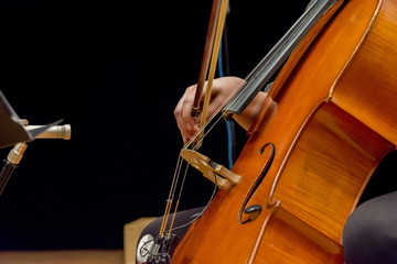 woman plays cello in a live concert - live music - body parts