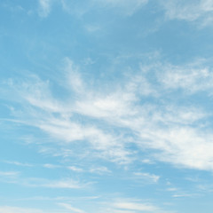 Light cirrus clouds on light blue sky
