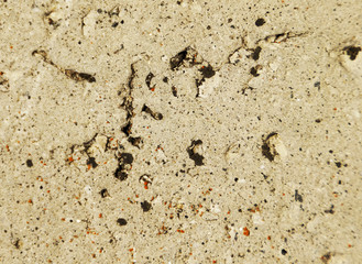 The texture of the concrete and rusty iron.